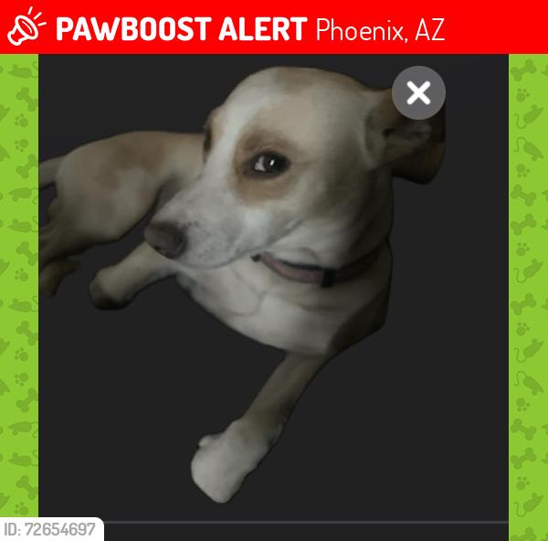 Lost Male Dog last seen 76th Ave & West Coolidge , Phoenix, AZ 85033