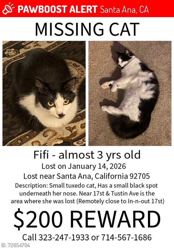 Lost Female Cat last seen 17th street In-n-Out, Santa Ana, CA 92705