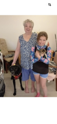 Lost Male Dog last seen Kentish Town , Greater London, England NW3