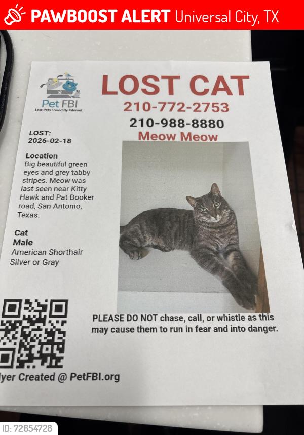 Lost Male Cat last seen Near patbooker road behind Arby’s , Universal City, TX 78148