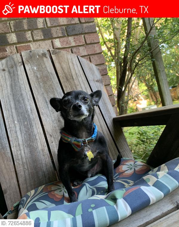 Lost Male Dog last seen Church on Westhill Drive and Nolan River Road in Cleburne, TX 76033, Cleburne, TX 76033