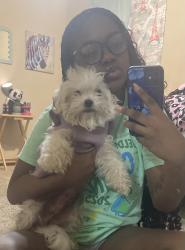 Lost Female Dog last seen Ace hardware on britton, The Village, OK 73120