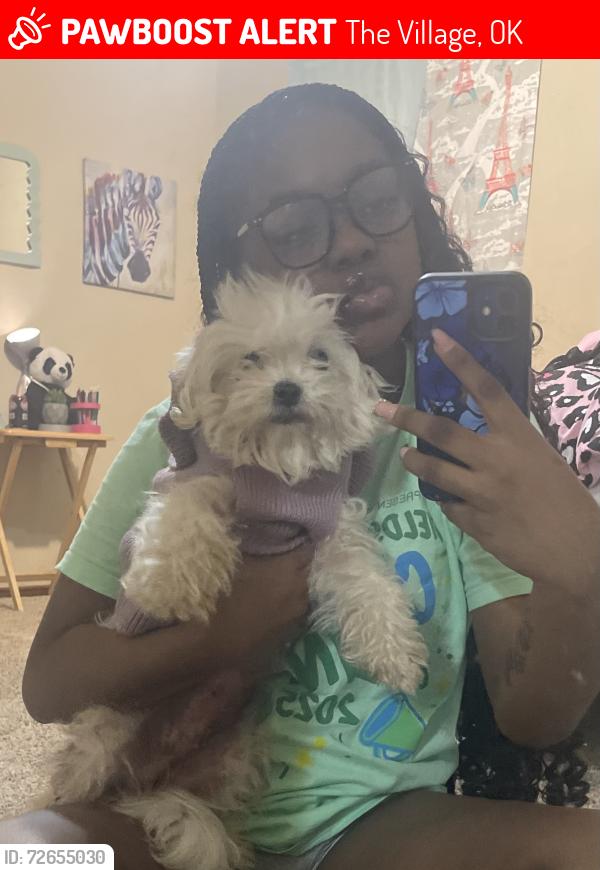 Lost Female Dog last seen Ace hardware on britton, The Village, OK 73120