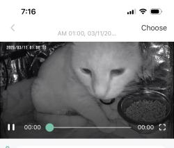 Found/Stray Unknown Cat last seen Linda St Combined Locks , Combined Locks, WI 54113