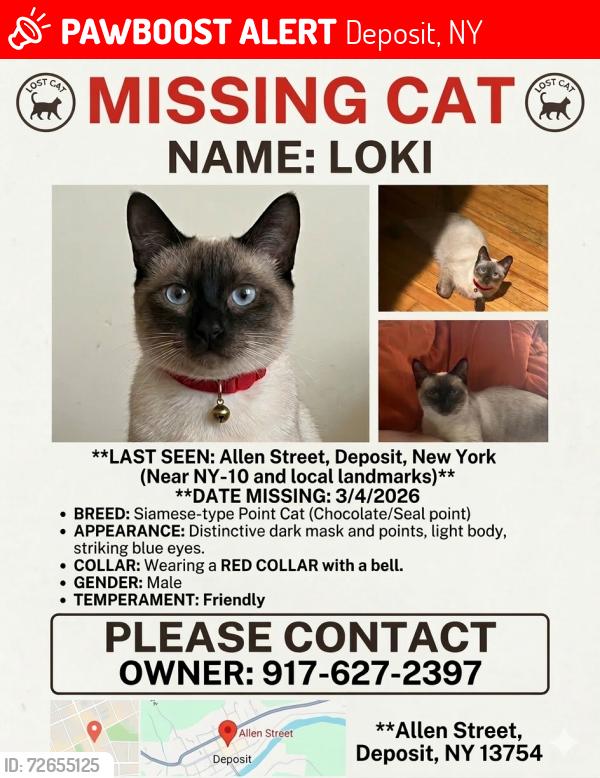 Lost Male Cat last seen 2nd st , Deposit, NY 13754