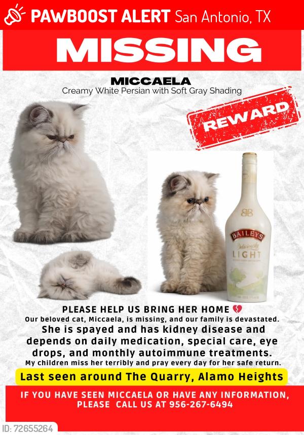 Lost Female Cat last seen Near Treeline Park , The Quarry apmts , San Antonio, TX 78209