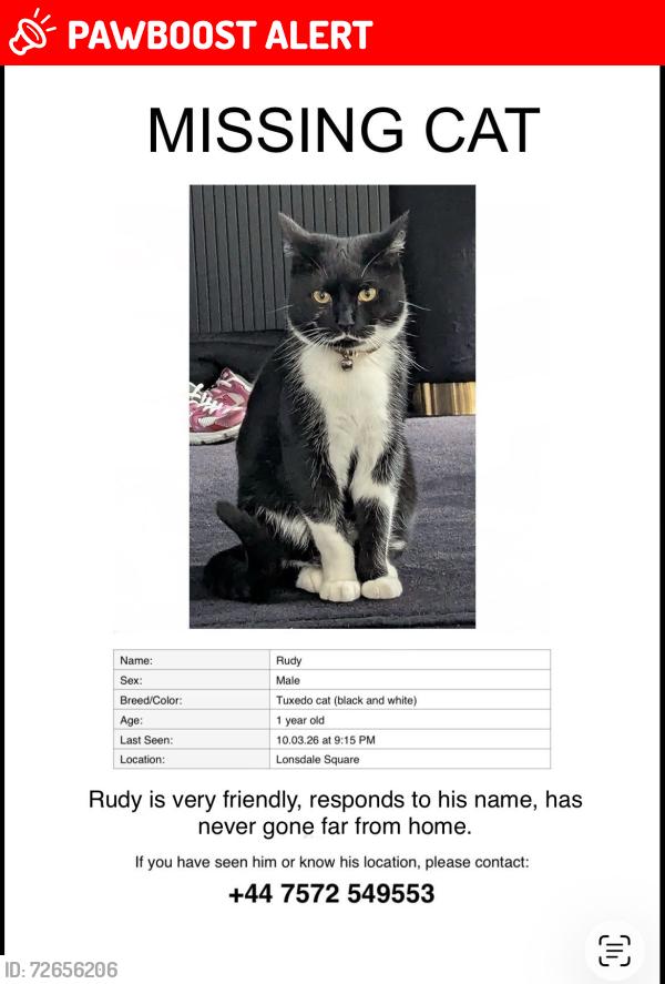 Lost Male Cat last seen Lonsdale square , Greater London, England N1 0LR