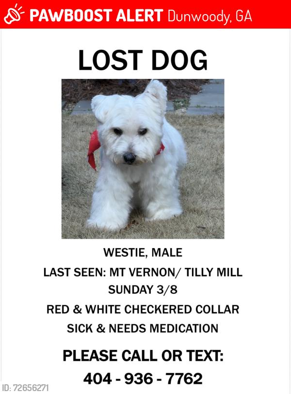 Lost Male Dog last seen Mt. Vernon, Dunwoody, GA 30338