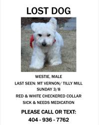 Lost Male Dog last seen Mt. Vernon, Dunwoody, GA 30338