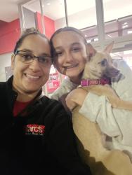 Lost Female Dog last seen West 44th St Street runs into Fulton Rd , Cleveland, OH 44109