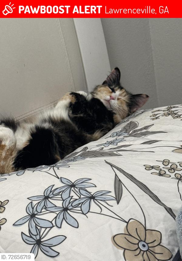 Lost Female Cat last seen Near greenfield way , Lawrenceville, GA 30043