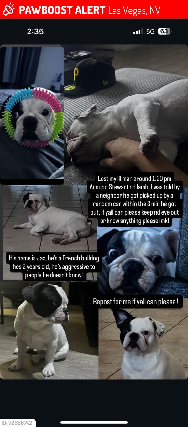 Lost Male Dog last seen Ogden and Stewart , Las Vegas, NV 89110