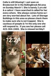 Lost Female Cat last seen Brookcrest Dr NE , Cleveland, TN 37323