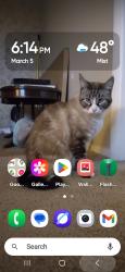 Lost Male Cat last seen 9th and ave G, Fort Madison, IA 52627