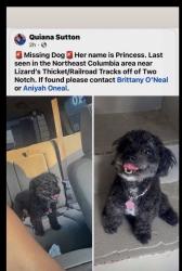 Lost Female Dog last seen Two Notch Lizards Thicket area, Columbia, SC 29223