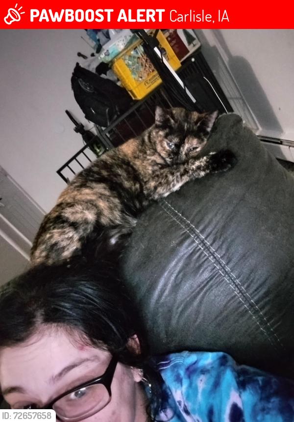 Lost Female Cat last seen Fiss, Carlisle, IA 50047