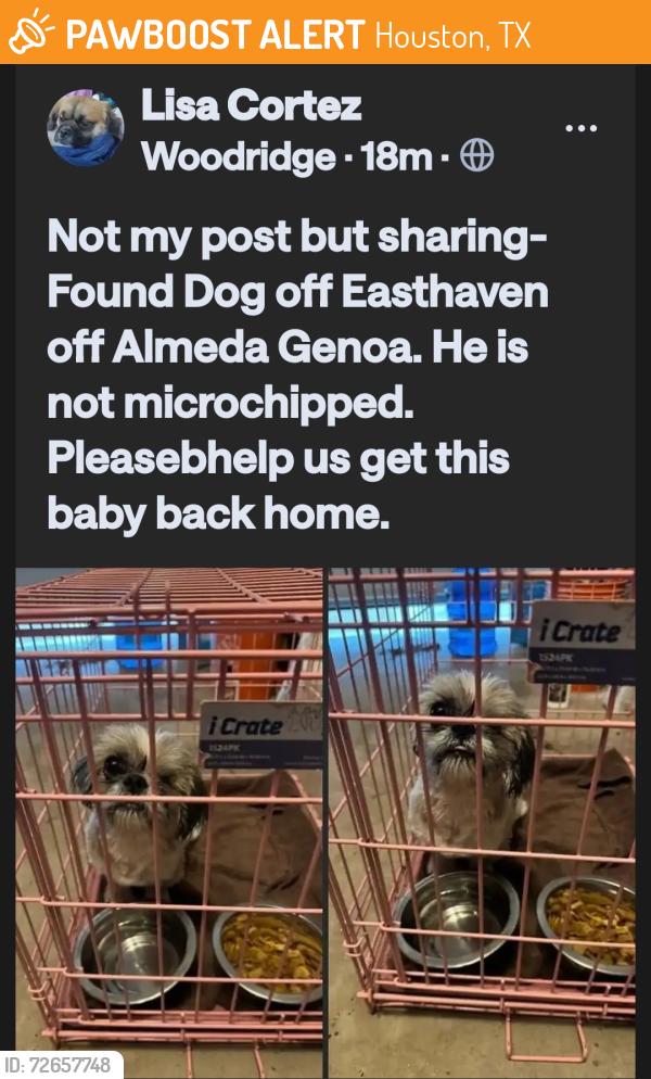 Found/Stray Male Dog last seen Lambright and East Haven off Almeda Genoa, Houston, TX 77075