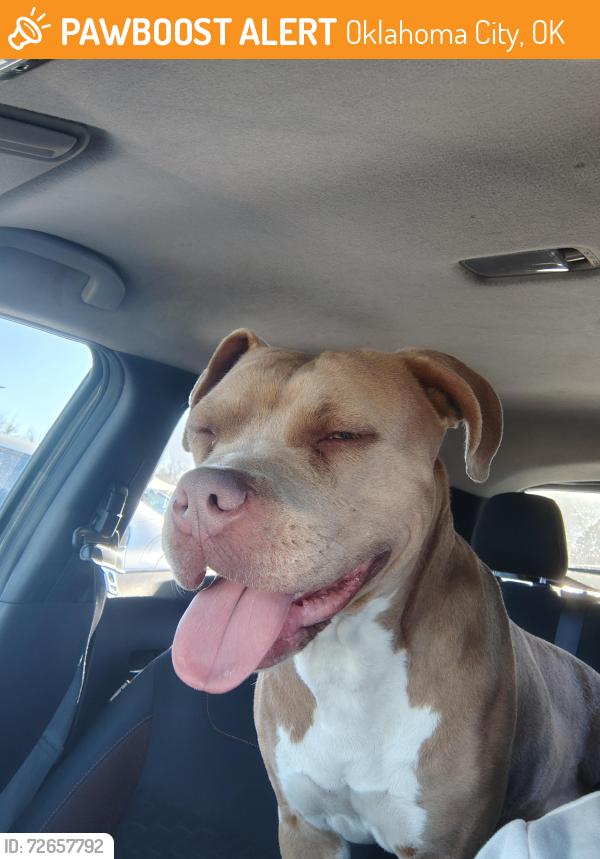 Found/Stray Female Dog last seen Frederick Douglass High School , Oklahoma City, OK 73102