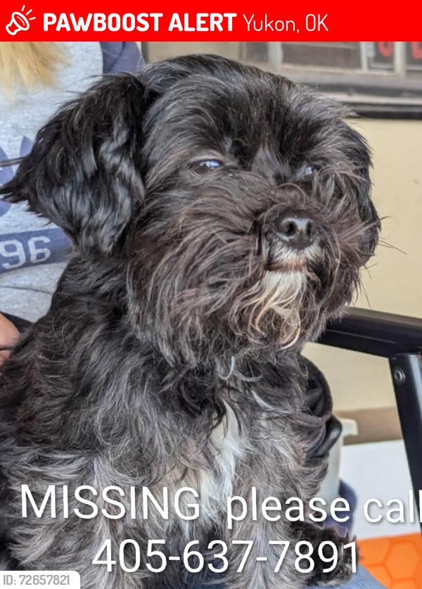 Lost Female Dog last seen Reno, Yukon, OK 73099