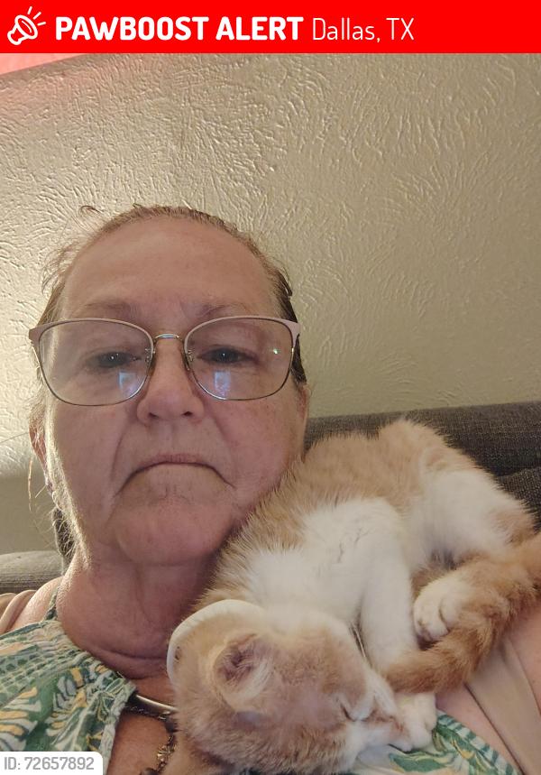 Lost Female Cat last seen Frankford, Dallas, TX 75287