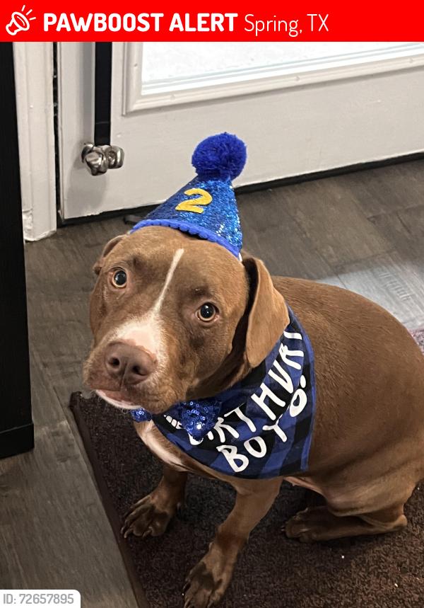 Lost Male Dog last seen Legends run, Spring, TX 77386