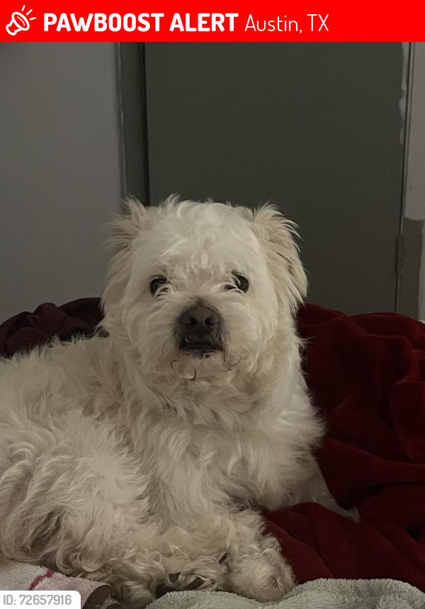 Lost Male Dog last seen Near Allyson ct, Austin, TX 78744