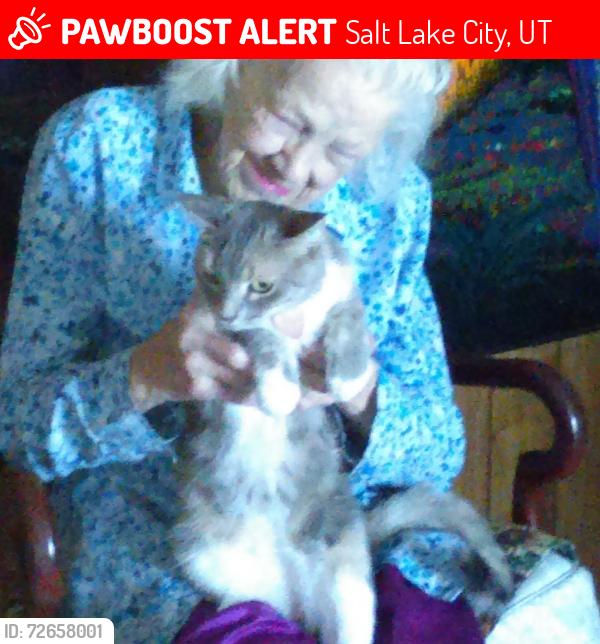 Lost Female Cat last seen Near 4100 SWest Valley City, UT 84119, Salt Lake City, UT 84119