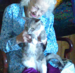 Lost Female Cat last seen Near 4100 SWest Valley City, UT 84119, Salt Lake City, UT 84119