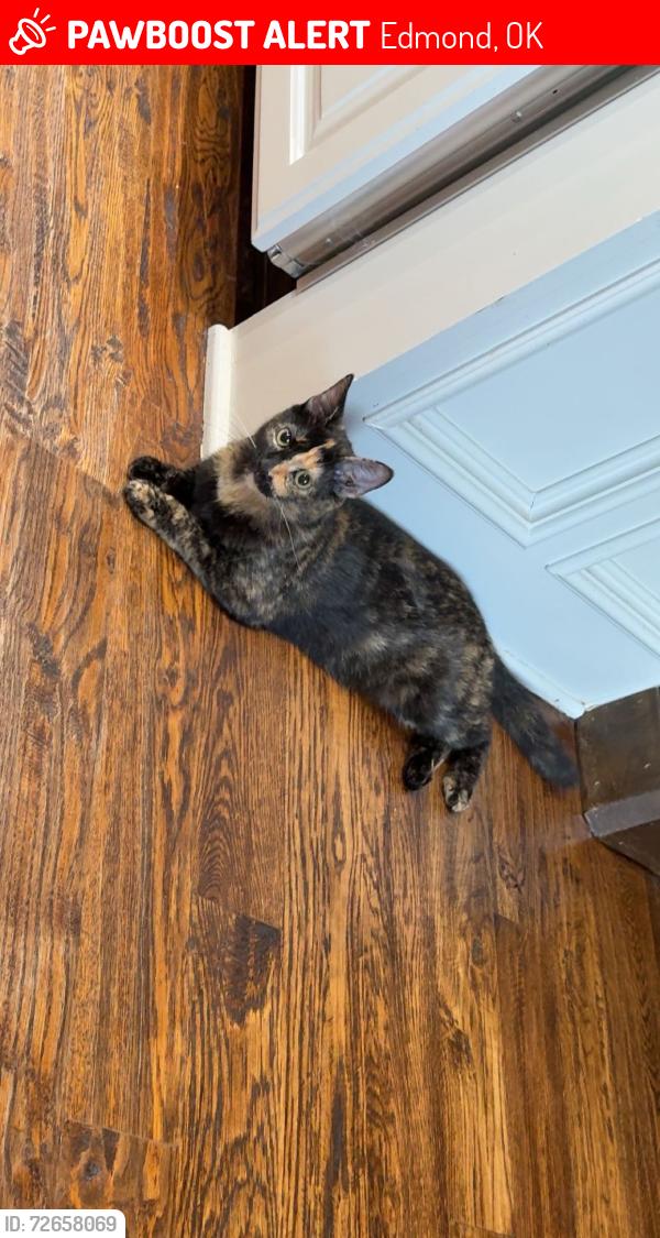 Lost Female Cat last seen Arcadia Lake, Edmond, OK 73013