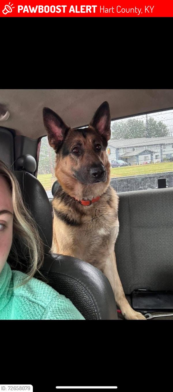 Lost Male Dog last seen Near , Hart County, KY 42713