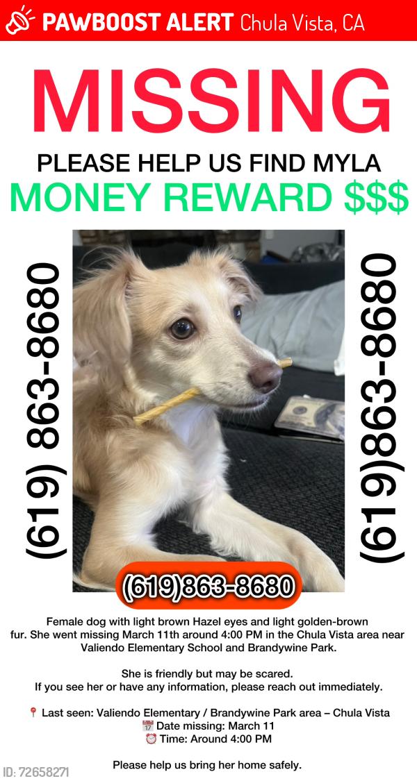 Lost Female Dog last seen Oleander ave , Chula Vista, CA 91911