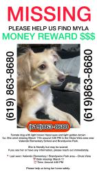 Lost Female Dog last seen Oleander ave , Chula Vista, CA 91911