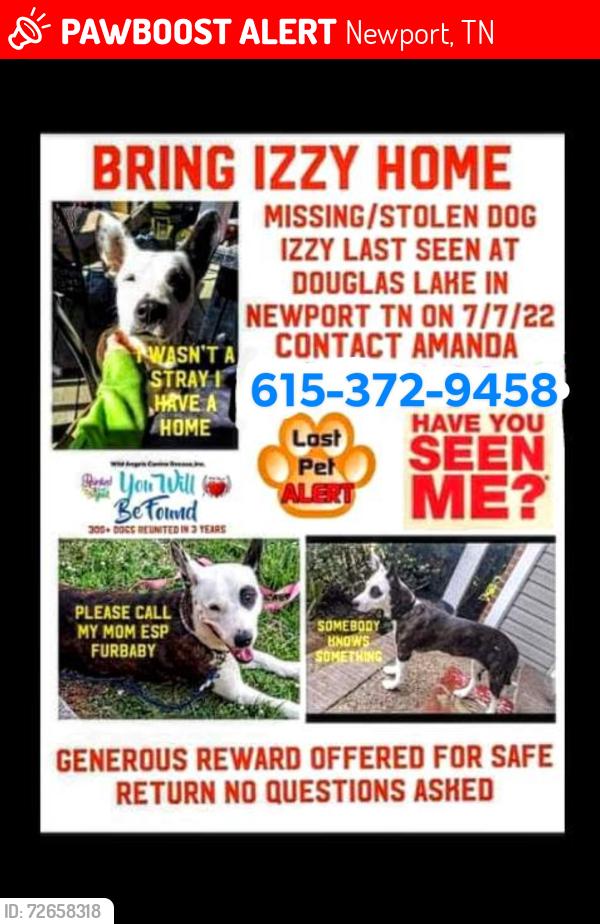 Lost Female Dog last seen Smoky mountain humane society , Newport, TN 37821