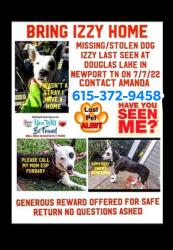 Lost Female Dog last seen Smoky mountain humane society , Newport, TN 37821