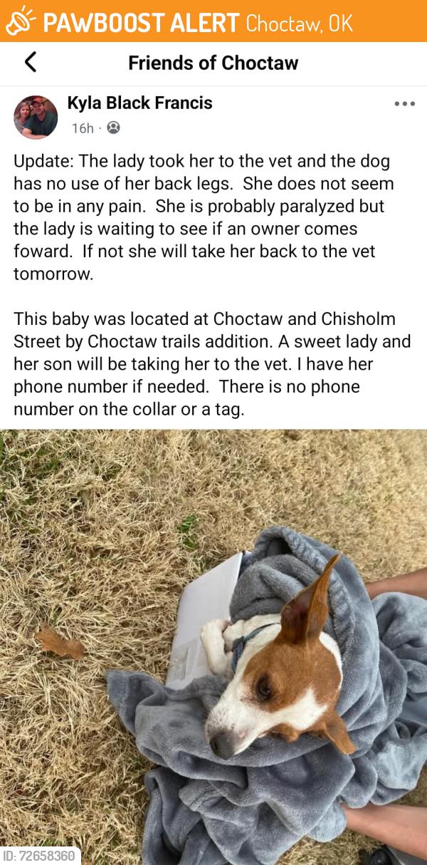 Found/Stray Unknown Dog last seen Choctaw trail's addition, Choctaw, OK 73020