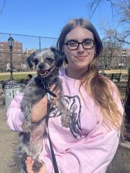 Found/Stray Female Dog last seen In kings county hosp parking lot, Brooklyn, NY 11203