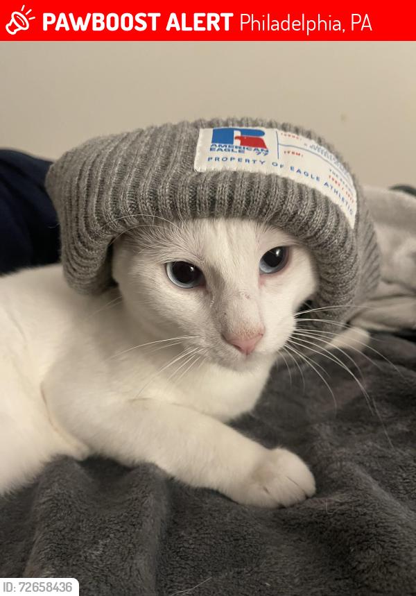 Lost Male Cat last seen Temple football training facility, Philadelphia, PA 19122
