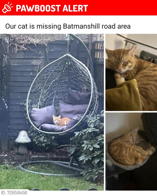 Lost Male Cat last seen Dy4 9lb, West Midlands, England DY4 9LB