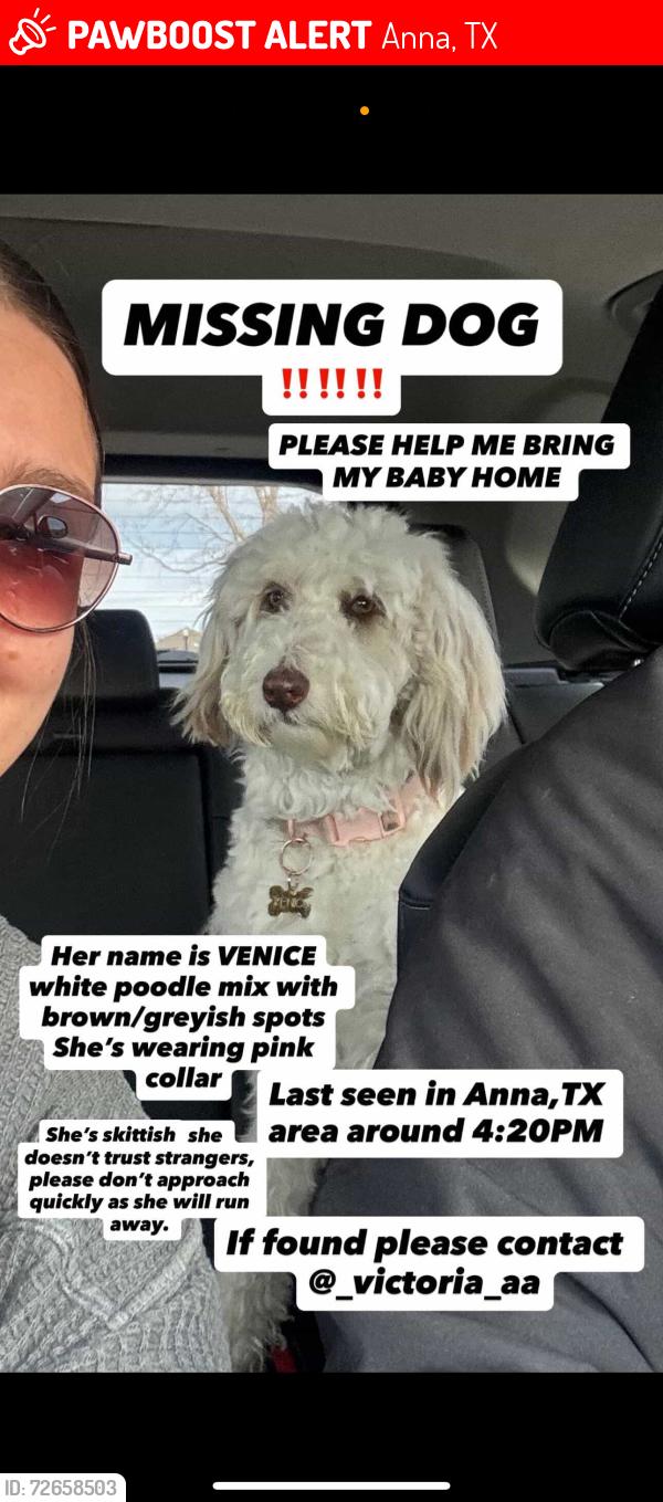 Lost Female Dog last seen Camden Parc, Anna, TX 75409
