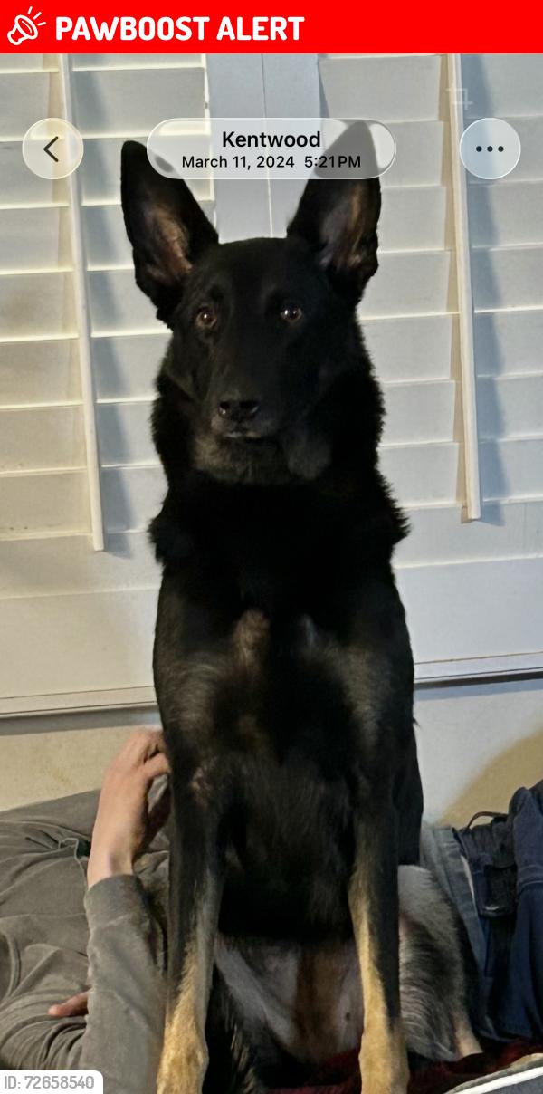 Lost Female Dog last seen Spring creek , Tangipahoa Parish, LA 70444