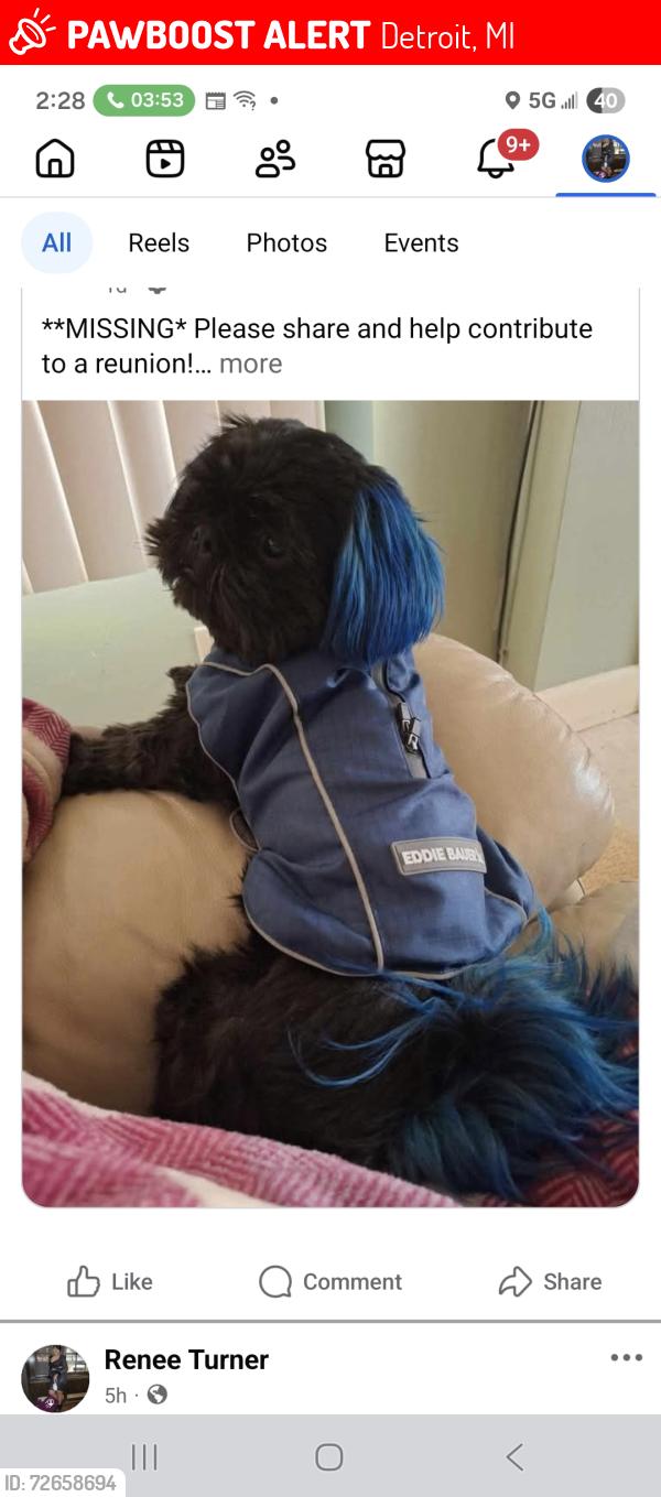 Lost Male Dog last seen Schafer and hubbell , Detroit, MI 48235