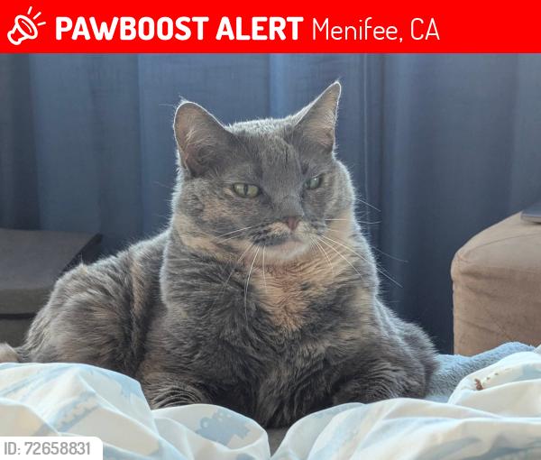 Lost Female Cat last seen Audie Murphy Ranch, Menifee, CA 92584