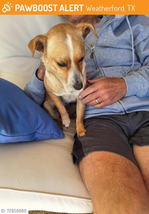 Found/Stray Male Dog last seen Harmony Circle , Weatherford, TX 76087