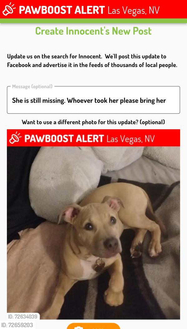 Lost Female Dog last seen Montego Dr, Desert Inn, Mountain Vista , Las Vegas, NV 89121
