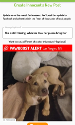 Lost Female Dog last seen Montego Dr, Desert Inn, Mountain Vista , Las Vegas, NV 89121