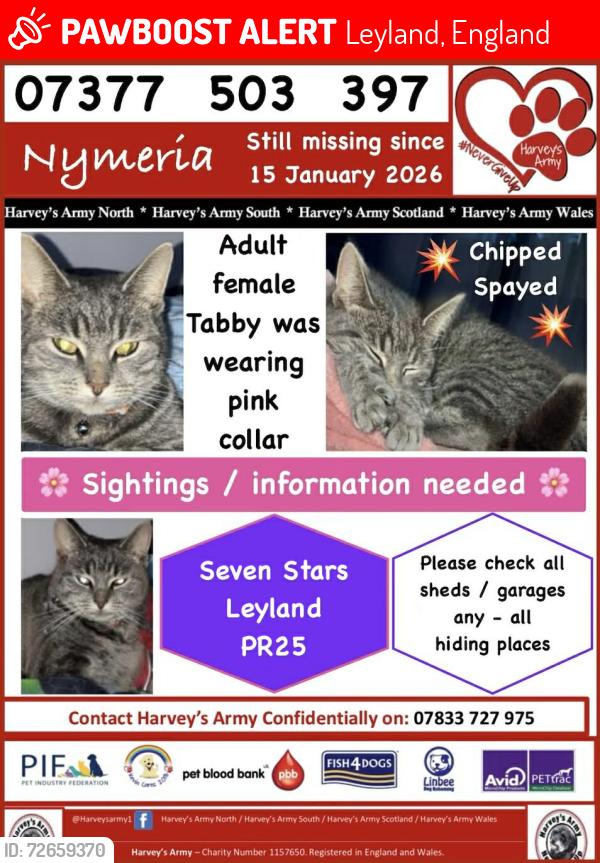 Lost Female Cat last seen Seven stars road , Leyland, England 