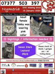 Lost Female Cat last seen Seven stars road , Leyland, England 