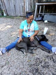 Lost Female Dog last seen Between north 13th to north 16th and hickory , Abilene, TX 79603