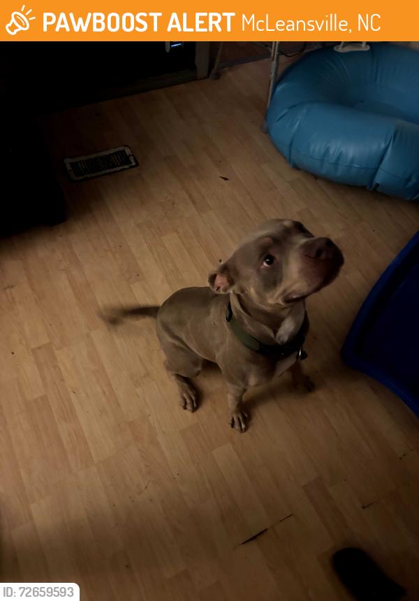 Found/Stray Male Dog last seen Abandoned at Park, McLeansville, NC 27301