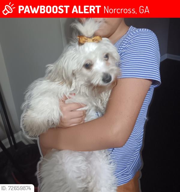 Lost Female Dog last seen Near Windsor wood ln, Norcross, GA 30071